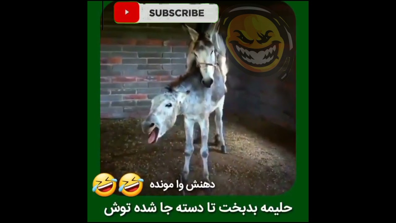 فیلم سوپر انسان با حیوانات