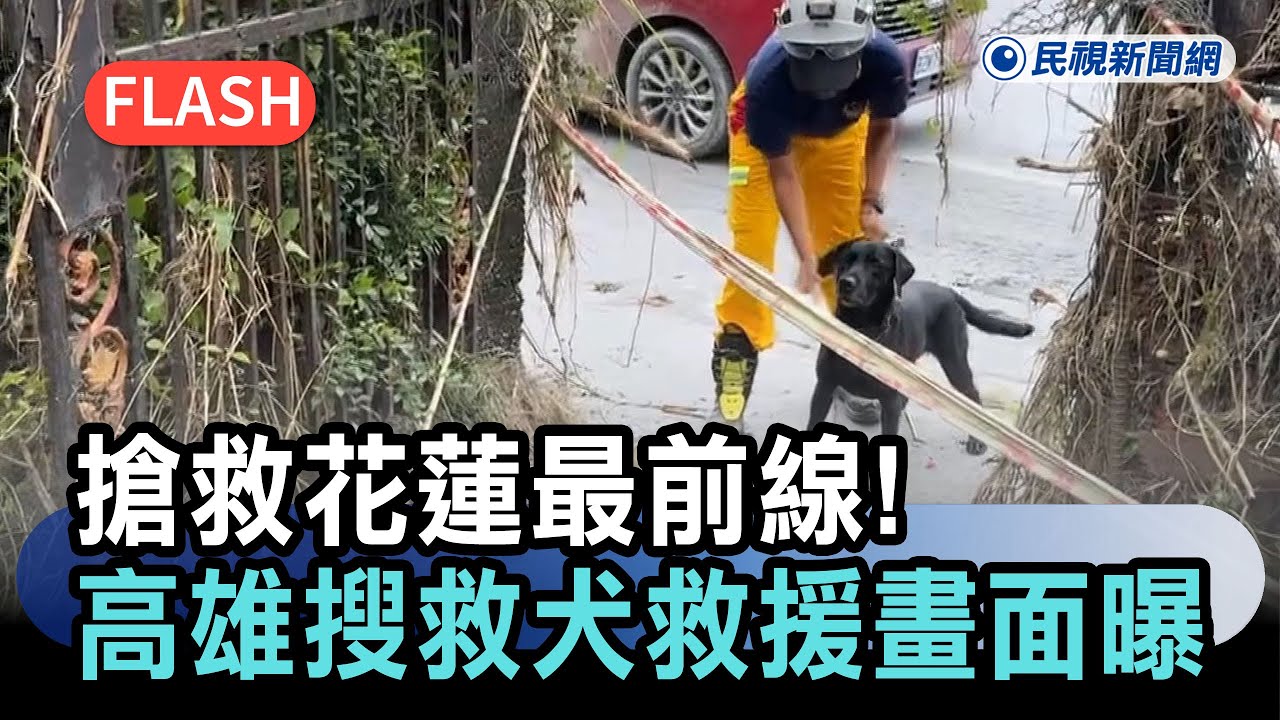快新聞／搶救花蓮最前線！高雄市特搜大隊搜救犬咪娜救援畫面曝｜民視快新聞｜