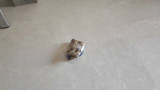 Woman Crush Bread In Buffalo 03