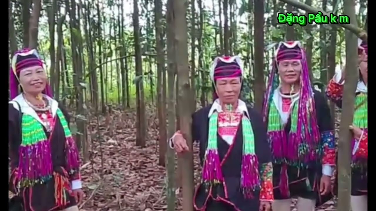 ngày 31 tháng 8, 2025 chị em hát giao duyên rừng quế hà cối 