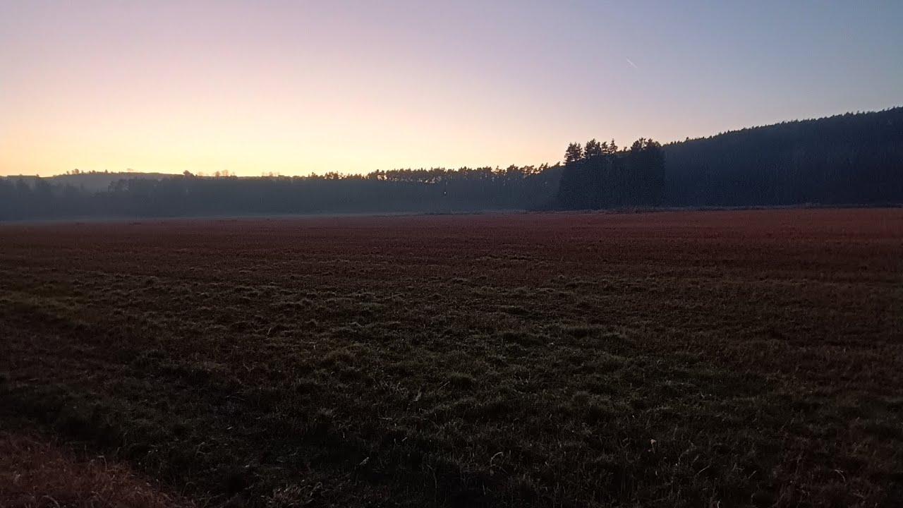 šli jsme s Endym na procházku - YouTube