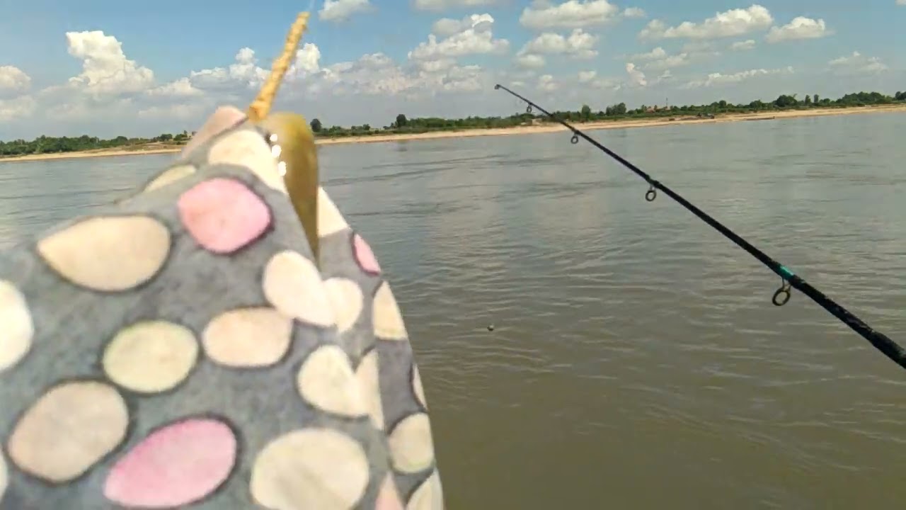 วิธีตกปลาสังกะวาด(ปลายอน)แม่น้ำโขงแบบปล่อยเหยื่อเข้าหาฝูงปลา !เหยื่อหมักนุ่นEP 5 |ลุงแอร์ บ้านนา