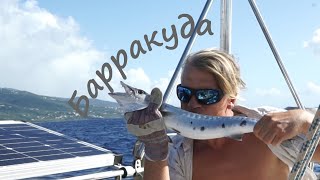 видео: Проходим вдоль запада Гваделупы. Под парусом Ellie Skeppner. Эпизод#5 картинка: Проходим вдоль запада Гваделупы. Под парусом Ellie Skeppner. Эпизод#5