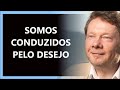 COMO OCORREU A ILUMINAÇÃO, ECKHART TOLLE DUBLADO