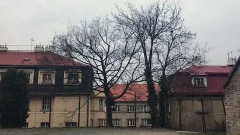 Beginning Czech Language Video (With Subtitles)