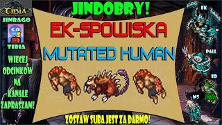Tibia - Mutated Human Yalahar Ek-spowiska ( 28lvl+ 160k/k+)