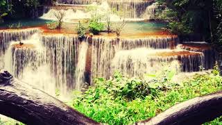 ASMR Reverse Chill in Rainforest, Enter the Tingle Zone, Sleep Hypnosis