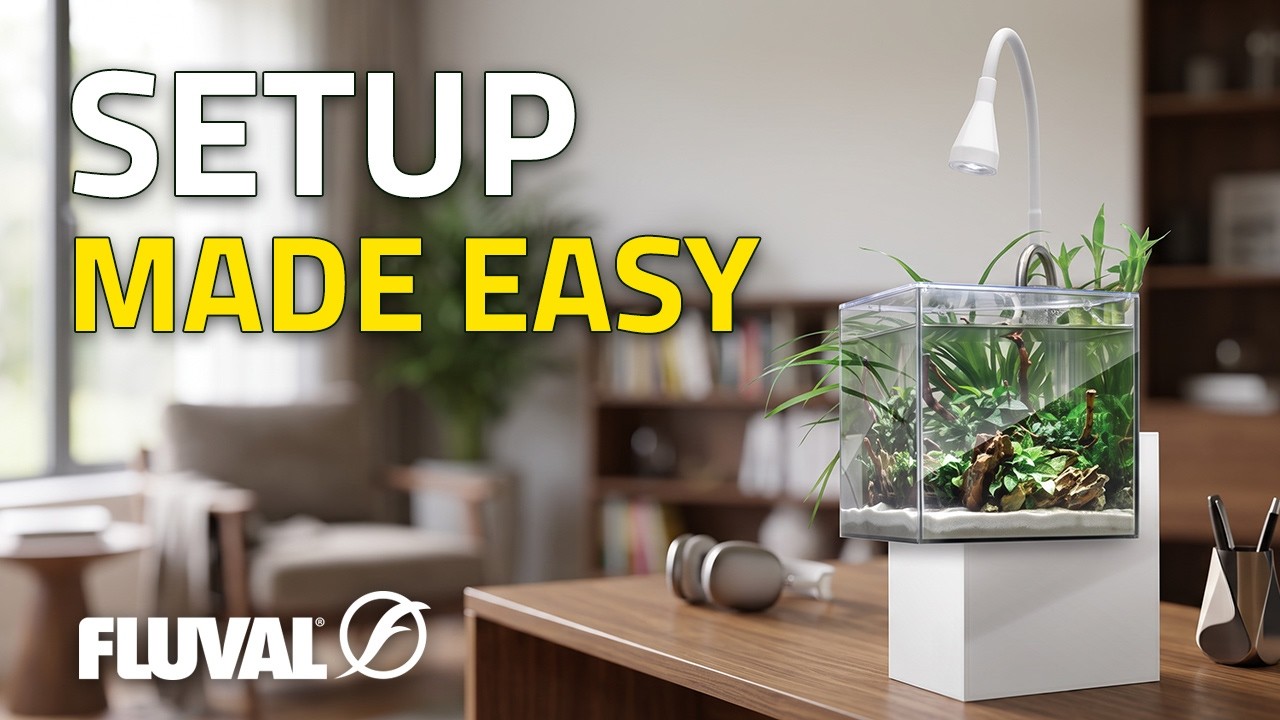 How to Set Up the Fluval Kühl Aquarium Kit (Complete Guide)