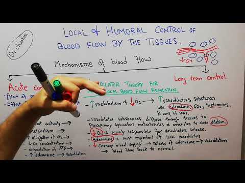 CVS physiology 96. Vasodilator theory for acute local blood flow regulation,Role of adenosine