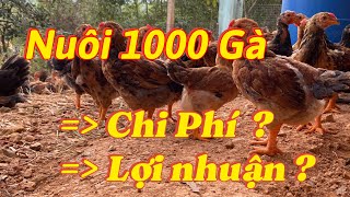 How much does it cost to raise 1000 chickens until sold, detailed accounting