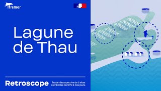 Lagune de Thau 🔙 Retroscope