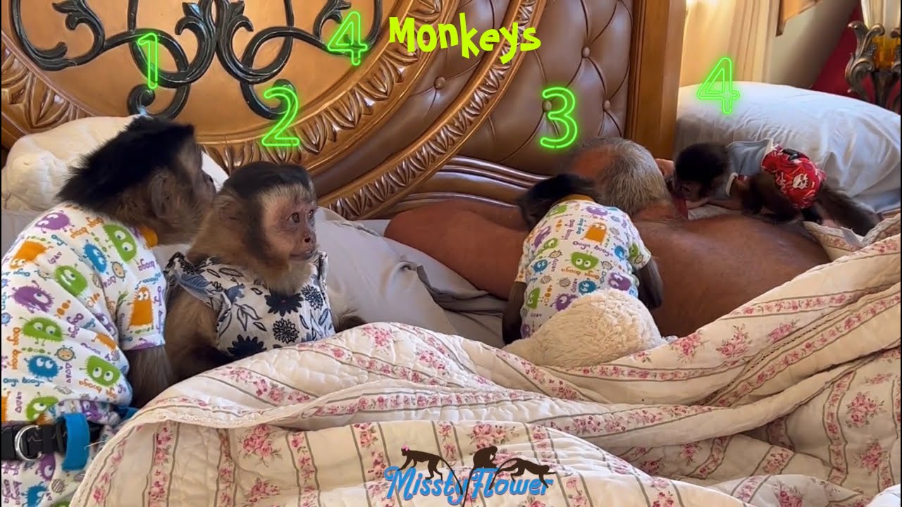 Waking up to 4 Monkeys 🙈🤭🤪 Yes, About this morning…!!! 🤣😍❤️