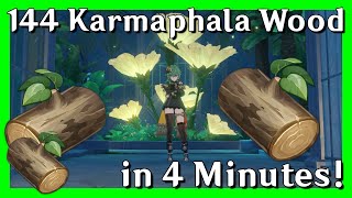 144 Karmaphala Wood In 4 Minutes  Genshin Impact  Material Farm quick Guide