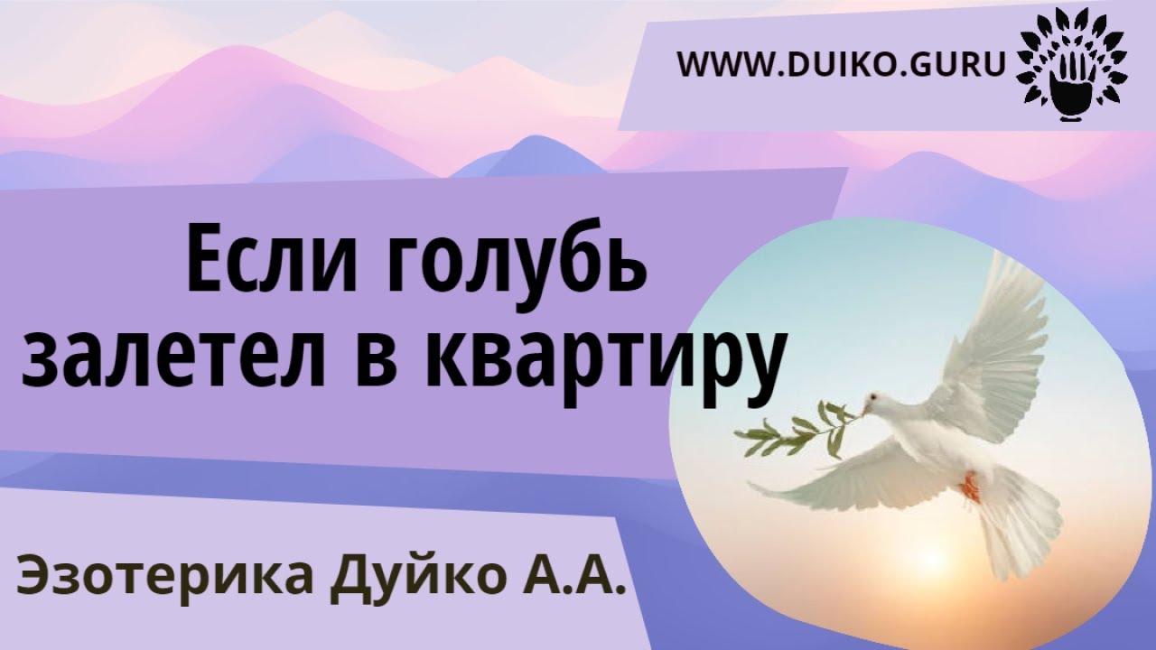 Если голубь залетел в квартиру @Андрей Дуйко