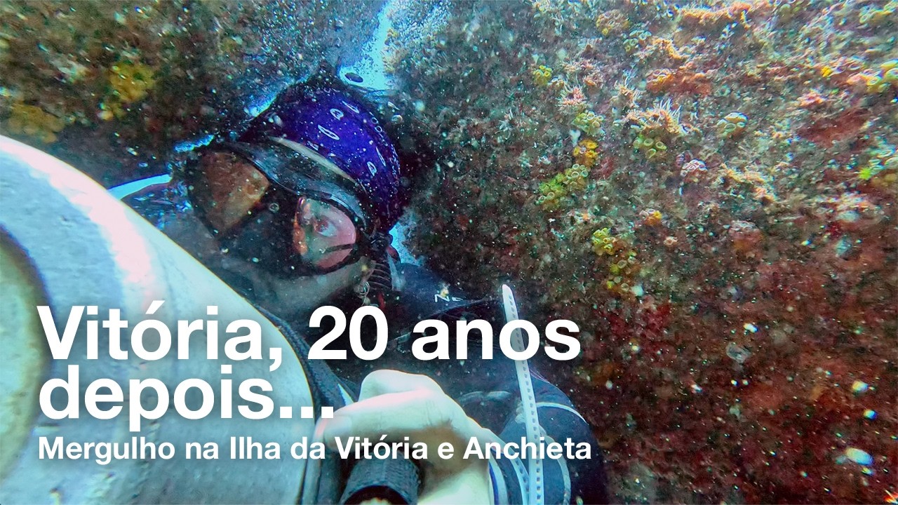 Mergulho na Ilha da Vitória e Anchieta | Ubatuba | Walvee + Omnimare Mergulho
