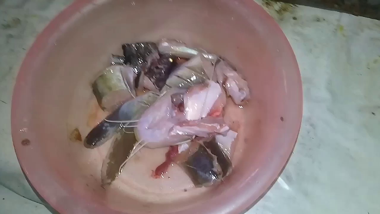 Mancing ikan baung+(masak)