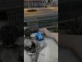 GTA 5 Realistic Hood Kills #19: Turned a Rat into a Hat  😈🔫  #gtav#gta#atlanta#chicago