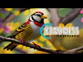 Kindness | Kindness of Little Sparrow | Kindness Starts With You