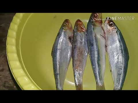 Cara Bakar Ikan Tanpa Alat Pemanggang Khusus + resep bumbu ikan bakar. 