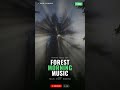 Forest Morning Music 🌲 Deep Focus BGM #Shorts