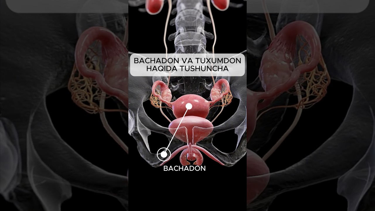 Ichkarida yaqindan jinsiy aloqa Zarinsk geylari
