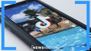 US attempts to gain ‘unprecedented’ access to TikTok | NewsNation Now