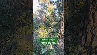 Izlık Üzün Ğa Özler