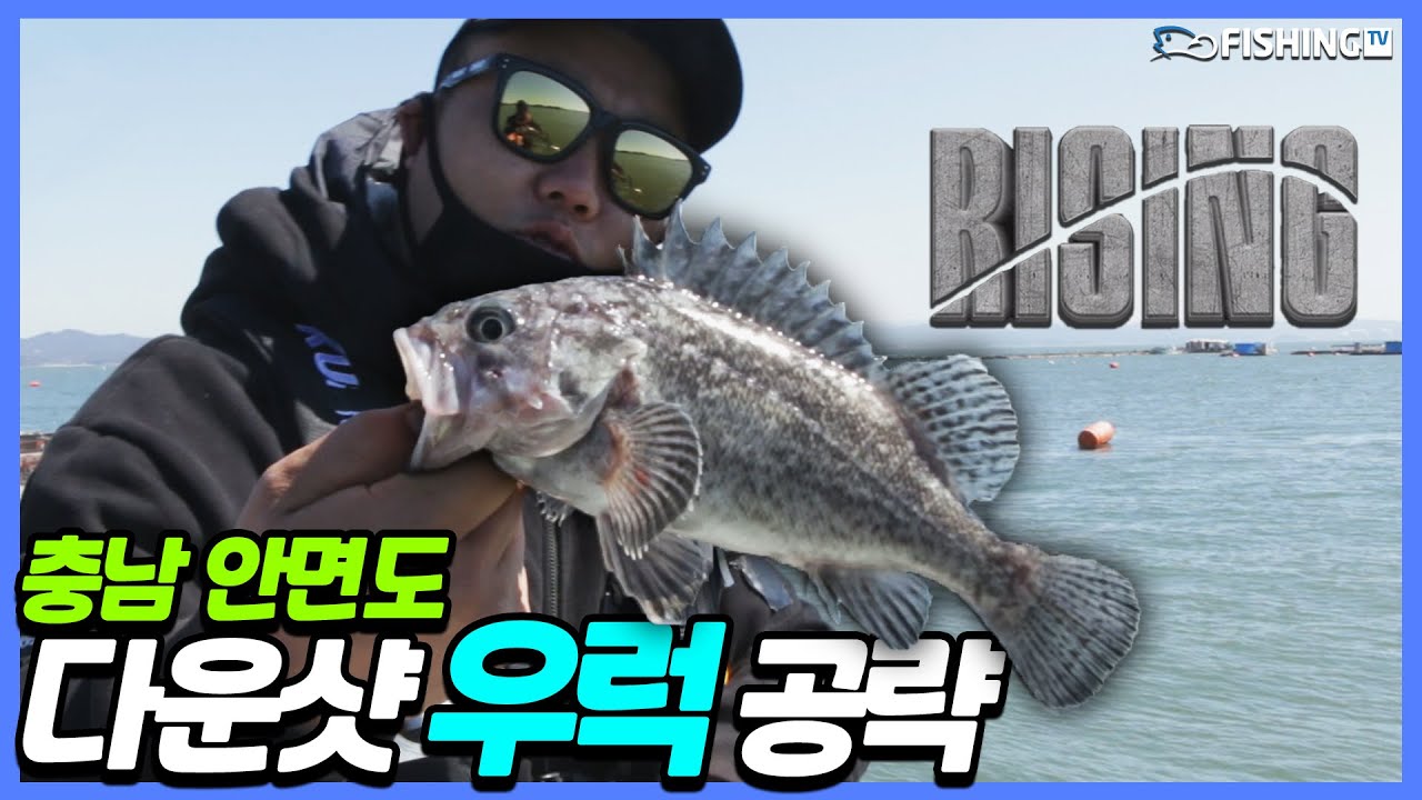 KOREAN ROCKFISH🎣 충남 안면도에서 다운샷으로 우럭 공략! [라이징 6회] 피싱TV YouTube