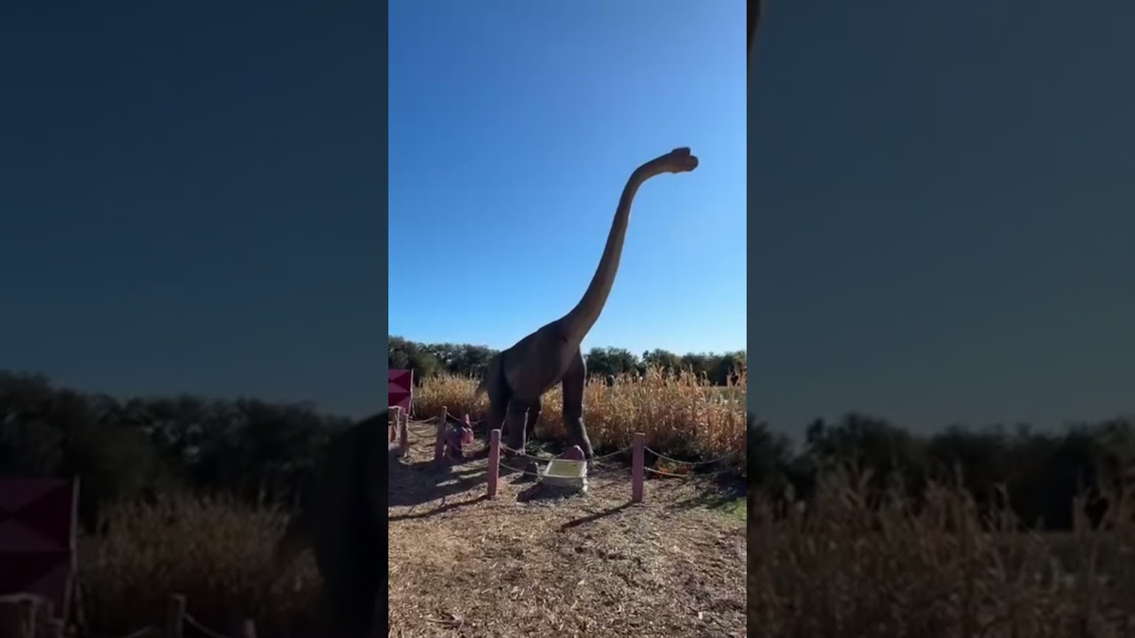 Sweet Eats Dino Fest Nov 8 – 30