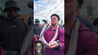 IShowSpeed with Deadly Cobra Snake CRAZIEST Moments Ever 😂🔥   #ishowspeed #beast