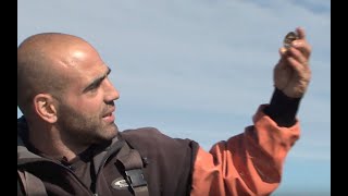 Matunuck Oyster Bar: Perry Raso's Pond To Table Success Net Worth