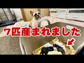 【生配信】母子共に元気です!みんなありがとう