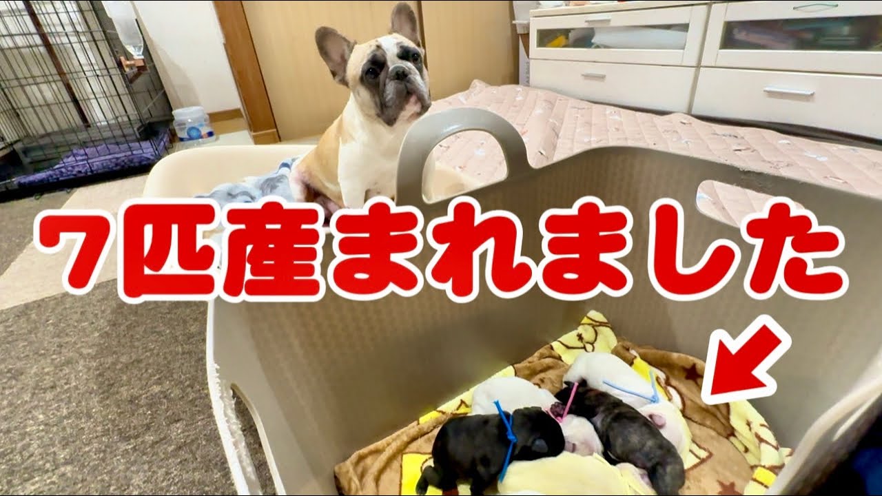 【生配信】母子共に元気です!みんなありがとう