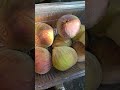 प्रकृतीची भेट#reelitfeelit#minivlog #viral#vlog#food#foryou#mother nature #youtubevloggers #vlogger