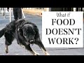 Teaching A Dog To Walk On Leash When Food ISN'T Working!