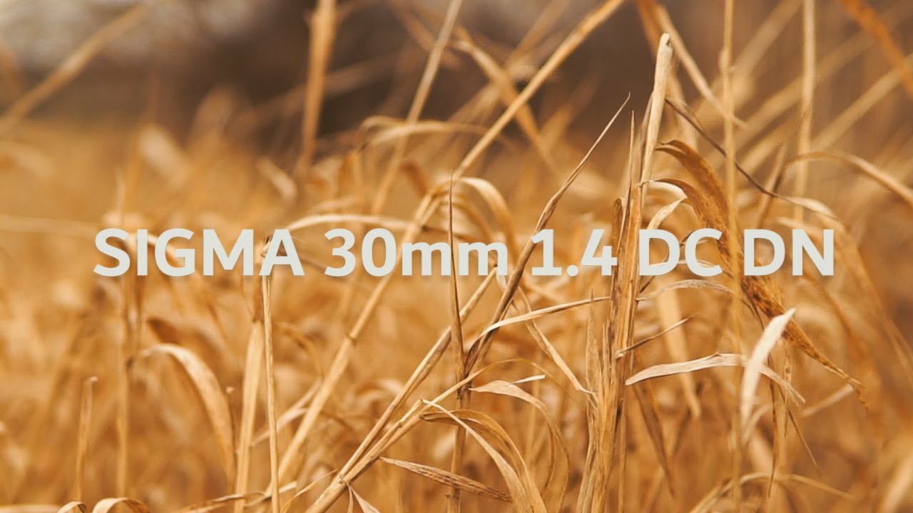 SIGMA 30mm 1.4 DC DN Test Footage | SonyA6000 - YouTube