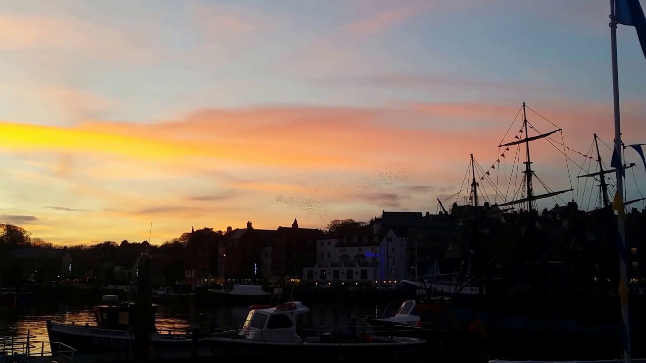 murmuration of starlings at Whitby Harbour YouTube murmuration of starlings at Whitby Harbour YouTube