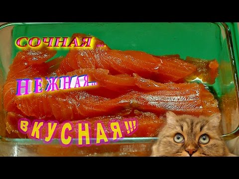 Деликатес! Солим Сёмгу, Лосось, Горбушу... - ОБЪЕДЕНИЕ !