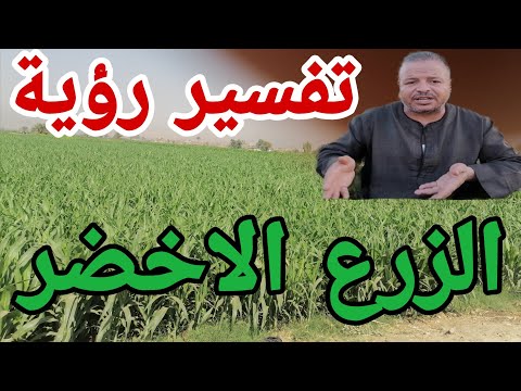 تفسير حلم رؤية الزرع الأخضر للرجل والمرأه المتزوجه والحامل والمطلقه