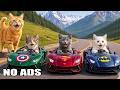 12 Hours Calming Music for Cats 💖 Cozy Sleep Music for Relaxed Indoor Cats