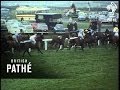 The BBC Grand National 1967 - Foinavon (Full Race) - YouTube