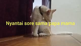 Today With Mami Papi