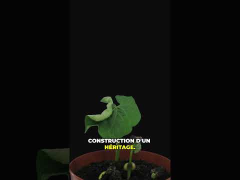 Ce Choix Peut Changer Ta Vie