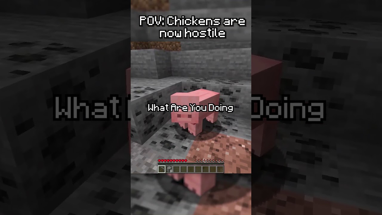 POV: Chickens are Hostile...