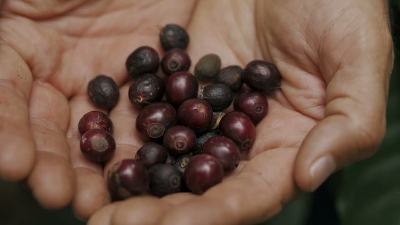 youtube-video-thumbnail