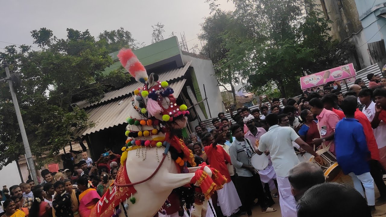 ஏர்வாடி தர்ஹா எட்டு குதிரையின் அழங்கார கொடி ஊர்வலம்.