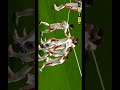 Frank Ribery #efootball #pes #shorts #football