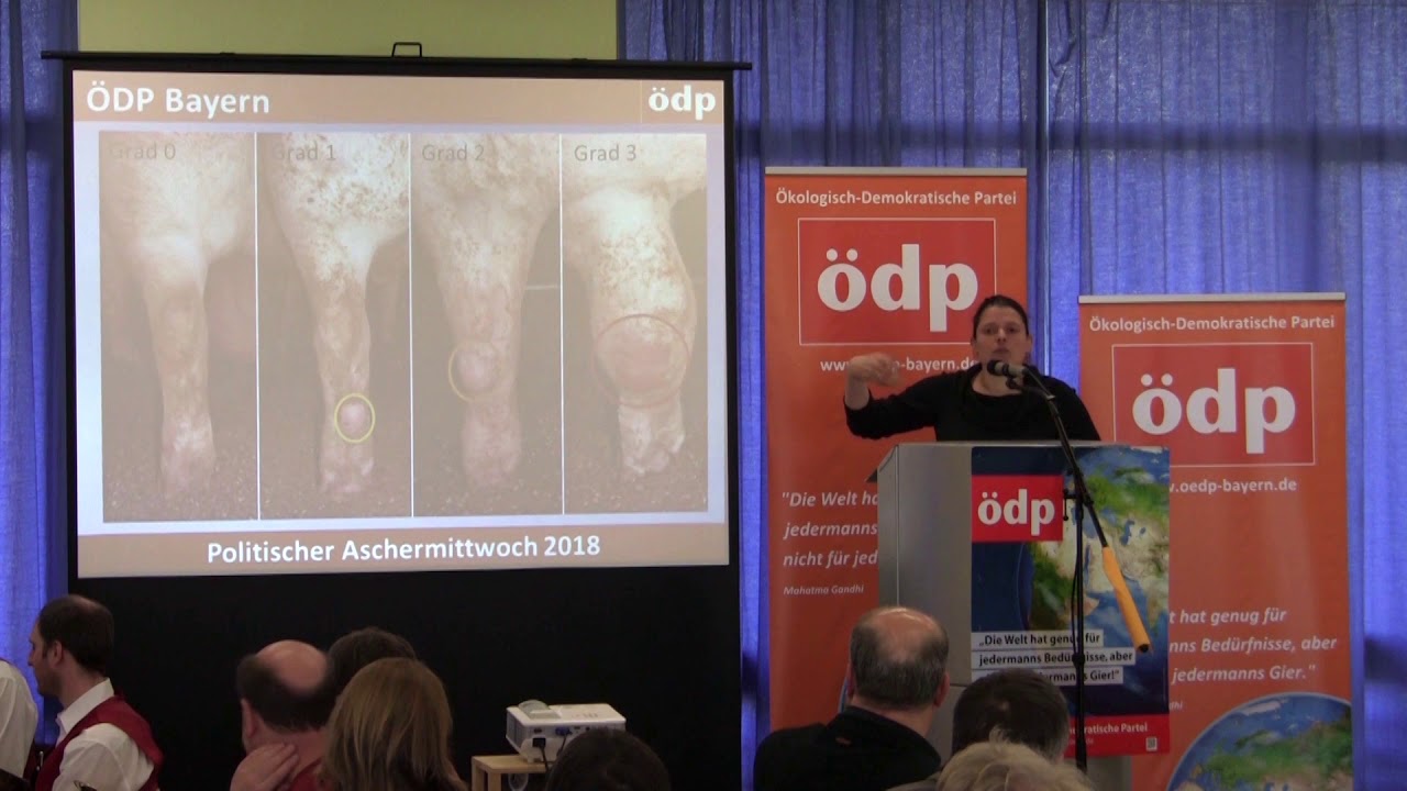 ÖDP Bayern - Aschermittwoch 2018 - 02 - Rede - Agnes Becker