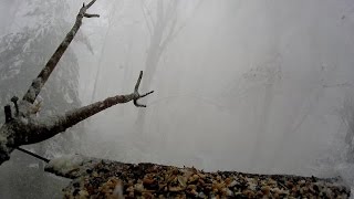 April 3 SNOWSTORM (Final Blow) by seahue 904 views 8 years ago 4 minutes, 45 seconds