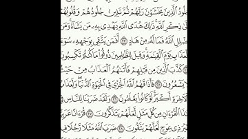 سورة الزمر 22-31 (٤٦١)     Sheikh Anas AlHibri
